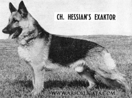 CH (US) Hessian's Exaktor