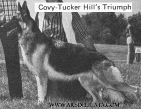 CH (US) Covy-Tucker Hill's Triumph