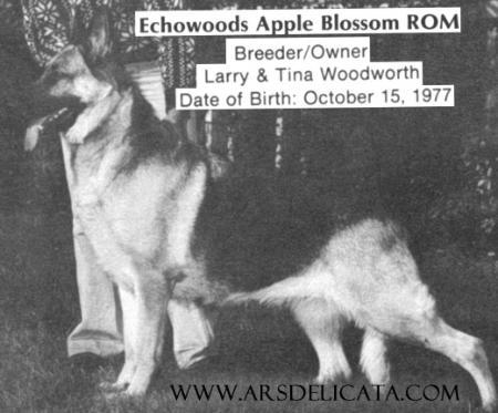 Echowood's Apple Blossom