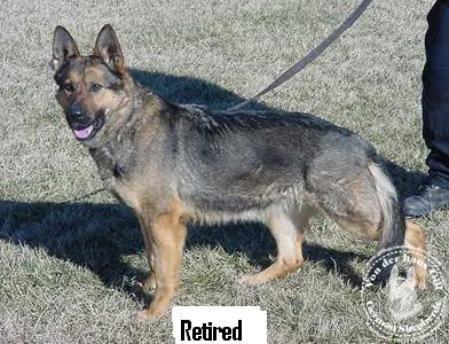 Fida z Pohranicni straze