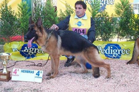 Jazmin Von Furstemberg