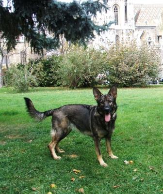 Meike von der Sintherner Kirchgasse