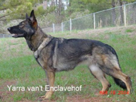 Yarra van 't Enclavehof