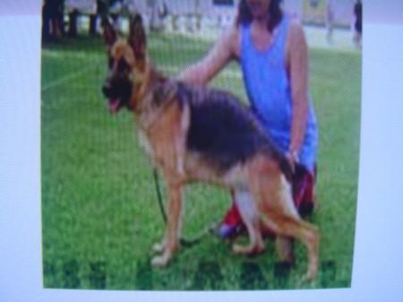 Connie Di Casa Piellier