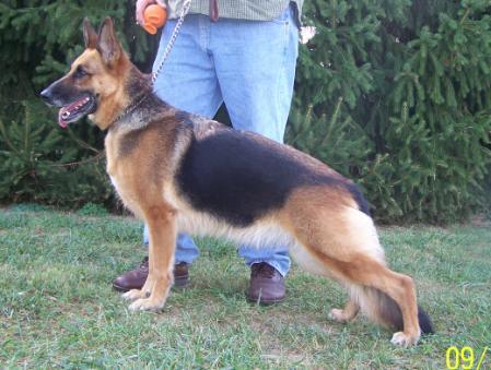 Porscha von Schone Stadt