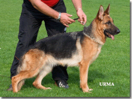 V Fatty di Casa Cacozza