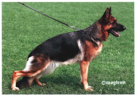 SG Hilti vom Hühnegrab