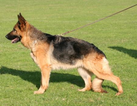 V Ela von der Piste Trophe