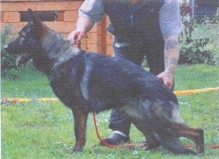 V Spock vom Jacobiner Schloß