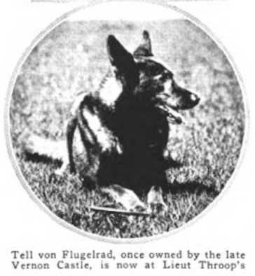 Tell vom Flügelrad (Winterview)