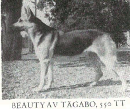 Beauty Tågabo