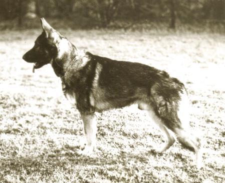 Grusgravens Chebyshev