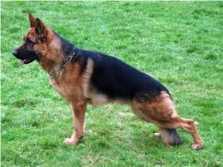 VA (CANADA) Cash vom Stendebach