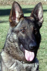 Noery van Tiekerhook