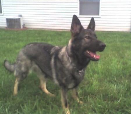 Jackie z Cerveneho kamena