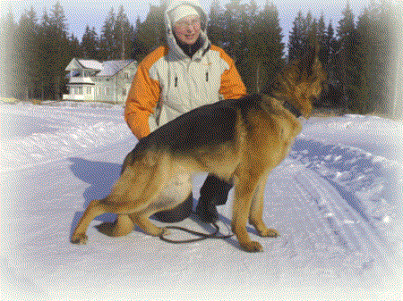 SG.11 IN TALLINN Thornblads Jasper