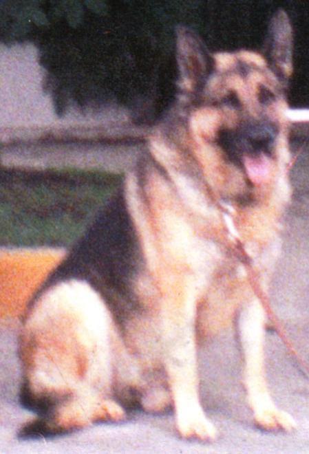 Echt Canek (González)