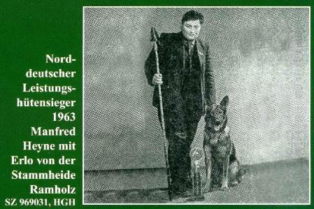 1963 HÜTESIEGER NORD Erlo von der Stammherde Ramholz