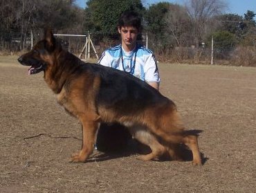 Baco von Haus Roten