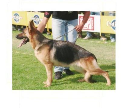 VA1 (MEX) BSZS-M Casha von Salgas