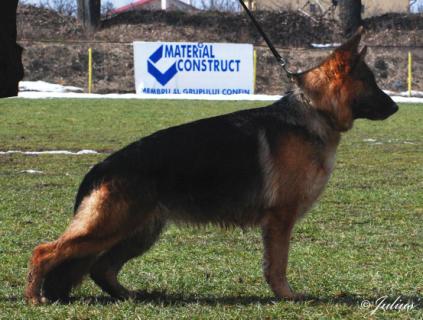 V 1. Olivia Von Haus Bura