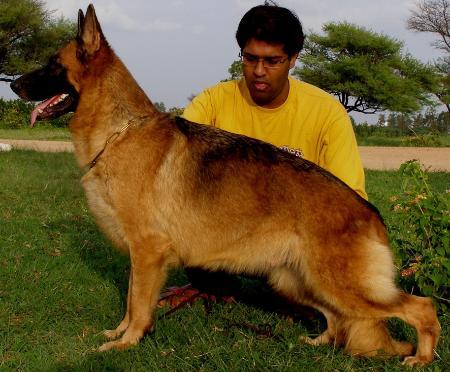 SG (IN) Ungana vom Arckinova