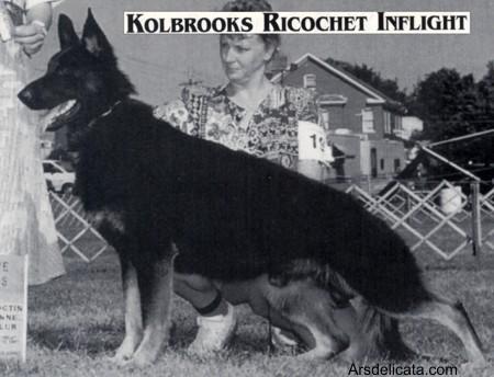 Kolbrook's Ricochet Inflight