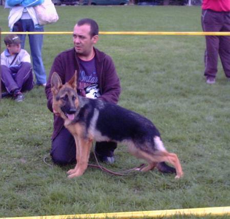 vussy vom haus selia