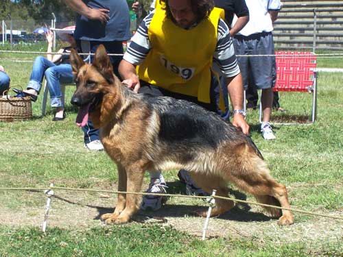 Donna Von Der Teduar