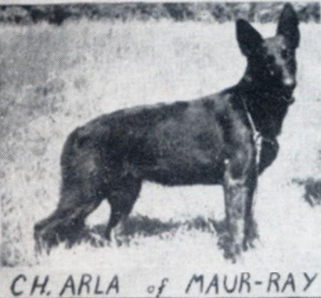 SEL CH (US) Arla of Maur-Ray