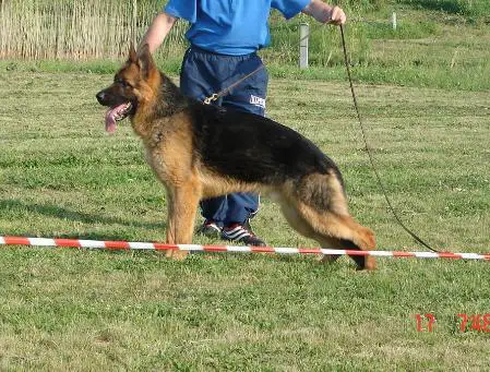 Kevin von Haus Reckerth