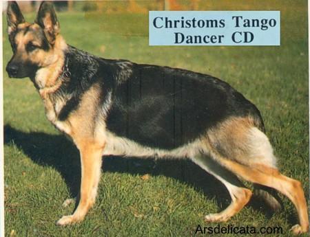 Christom's Tango Dancer