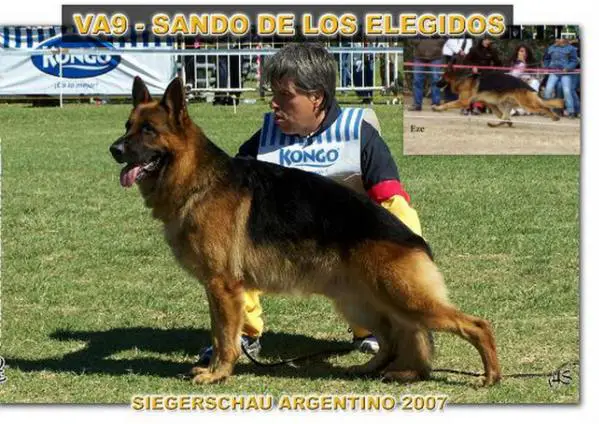 VA 4 (ARG) Sando De Los Elegidos