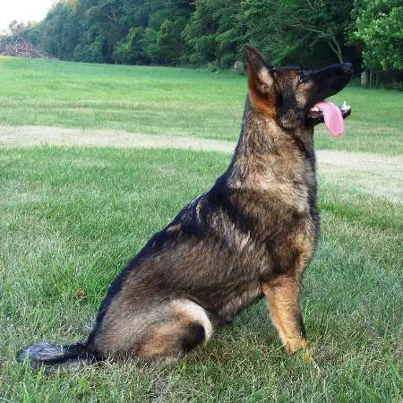 Evita vom Waldestraum