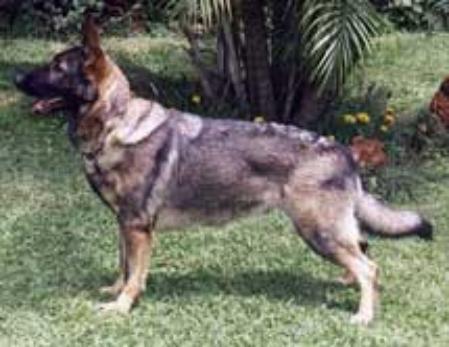 Grammie aus Gildenhaus