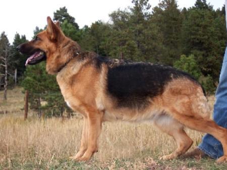 Kelly aus der Mövenstraße