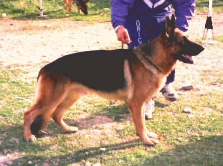 Hans di Val Chemonia