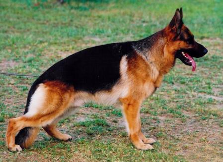 VA KOREA Lido vom Moorbeck