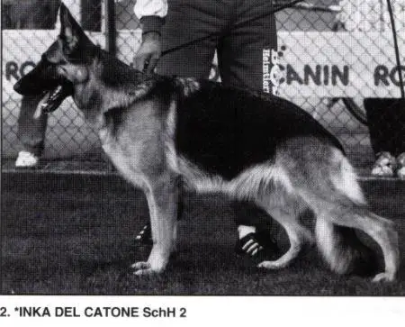 VA2 ITALY 1993 Inka del Catone