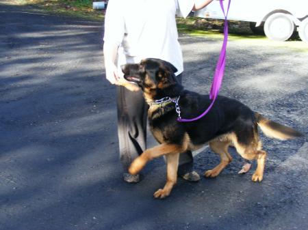 Dugas's zum Bad-Boll's KA-HILL