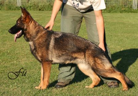 Marry Hartis Bohemia