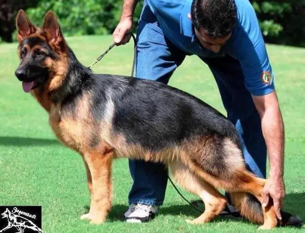 SG-1 Jette von Jagenstadt