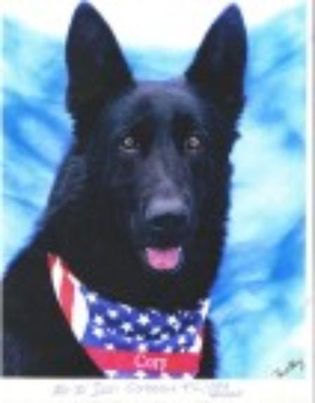 Mo-Jo's Icon Corbeau