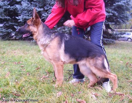 Quina s Sofievskoy Zemli