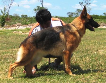 Kate von der Spinerau