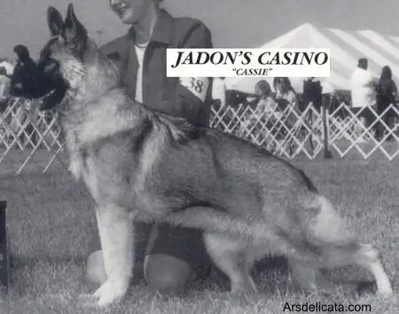CH JaDon's Casino
