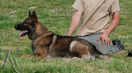 Dagger V of Kreative