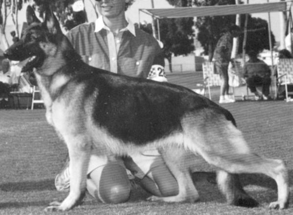 CH (US) Nike Clayfield Loreal