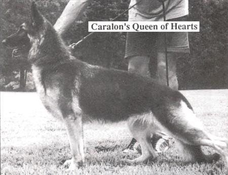 Caralon's Queen of Hearts