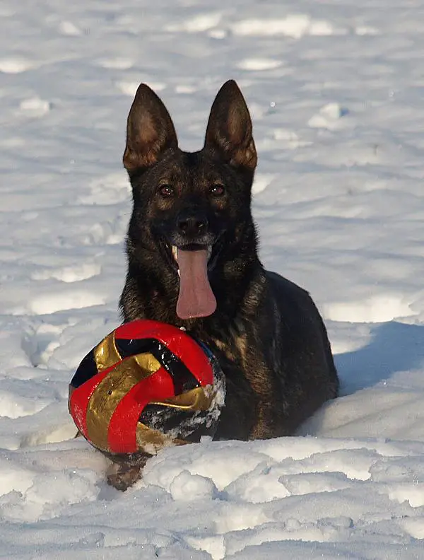 V Habanna von Metunaj